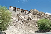 Ladakh - Shey palace 